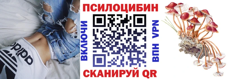 KRAKEN маркетплейс  Рязань  Псилоцибиновые грибы Psilocybe  сайты даркнета состав  где найти  